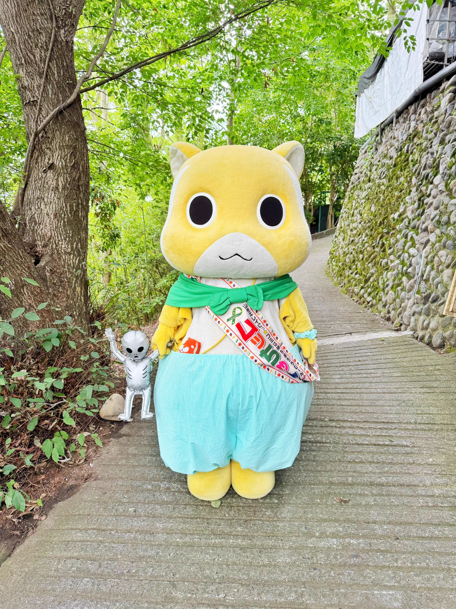 ムッちゃん on X: 