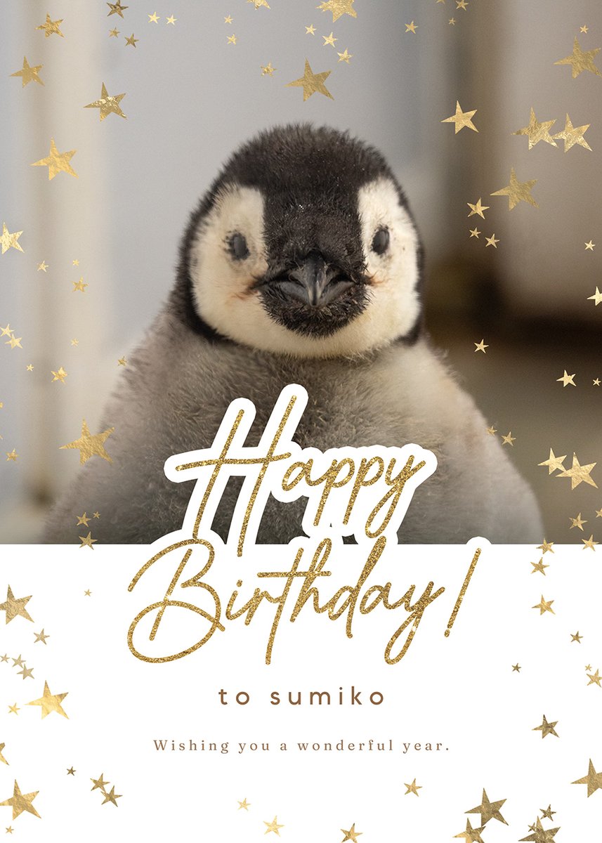 SuperKeeshond's tweet photo. @sumipen0712 お誕生日おめでとうございます🎉

この1年もペンギンたちにたくさん出会える素敵な年になりますように！ https://t.co/jkHGoYTOSH