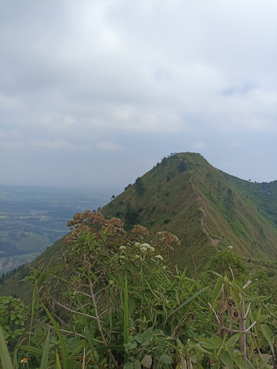 Karmakug_'s tweet photo. The trail that once intimidated me is now a path I'm proud to have conquered 🙌 https://t.co/0EUomrrdVL