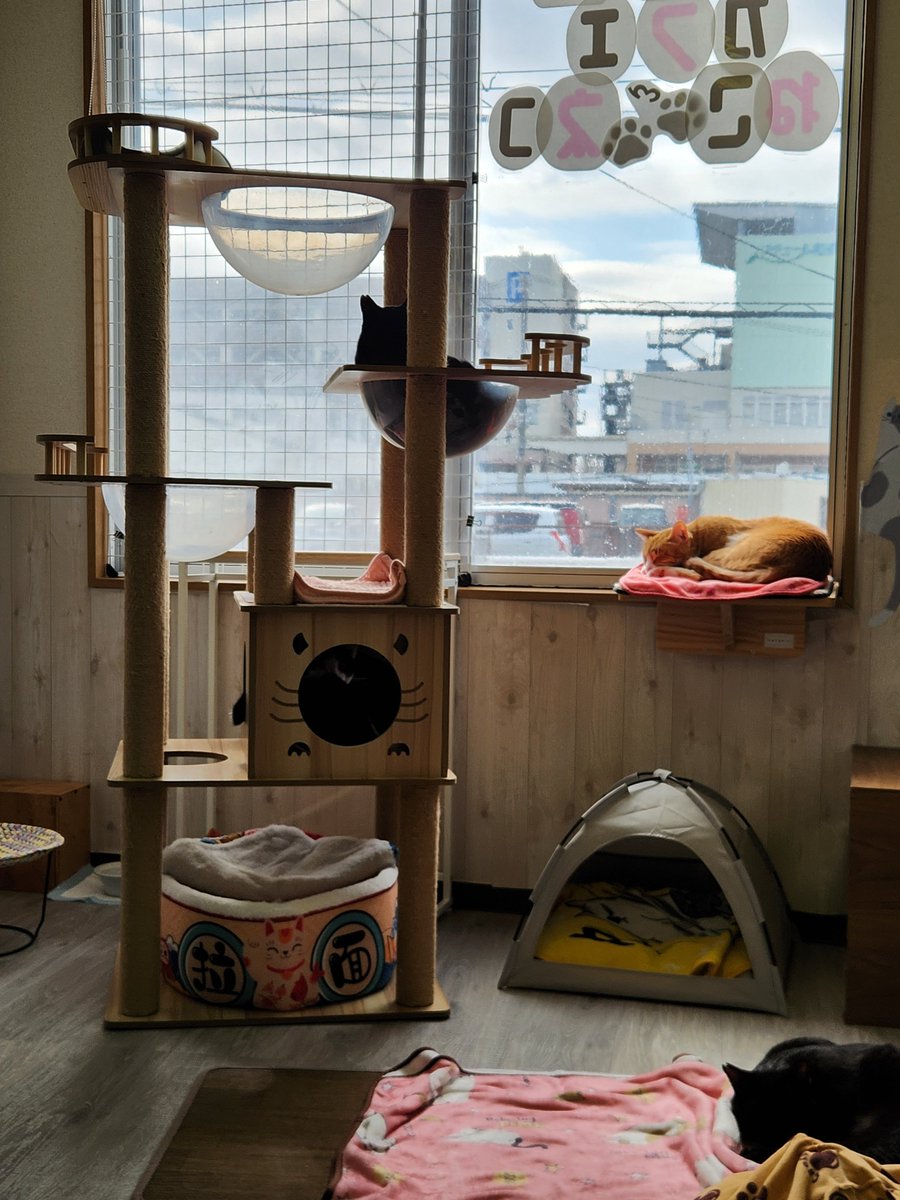 sawaringer's tweet photo. 「いやいや、早く言ってよ…」
家族にそう思うこと、ありませんか？
家族だからわかってくれているはず。
そんな期待があるほど、モヤモヤしやすいものです。

でも、家族でも言葉にしないと伝わらないことは意外と多いです。
「言わなくても」は卒業して、
少しずつ言葉にしてみませんか🍀 https://t.co/znKVBy7W09