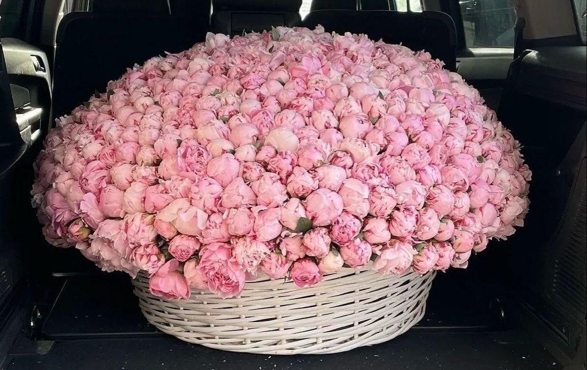 moonieaura's tweet photo. https://t.co/QbPBz9D218