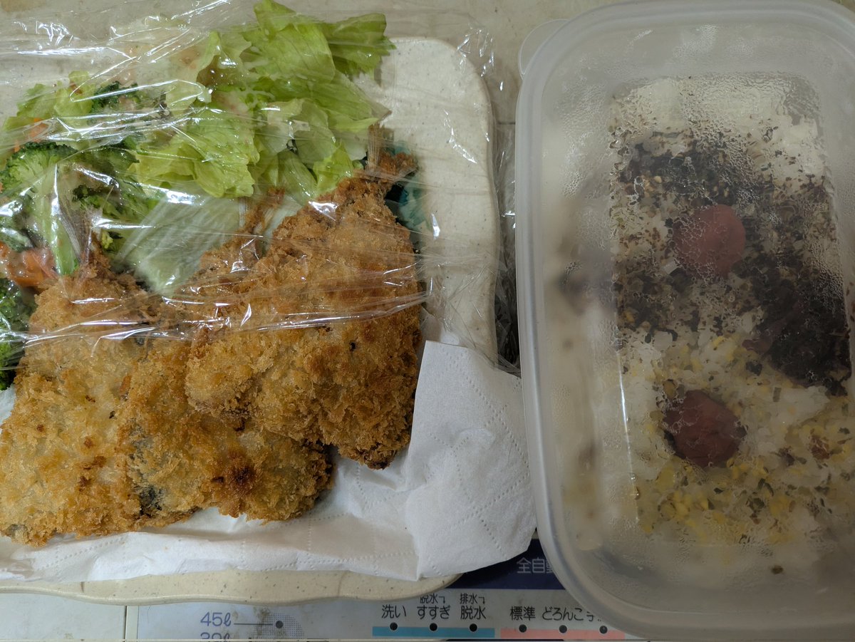 youchychy's tweet photo. リュウちゃん
私が帰宅したらコメはゴロンしてお出迎えしてくれました

サナちゃんのママが手作り白身フライとご飯を届けてくれました
サラダにはドレッシングが掛かっていました
本当にありがたい https://t.co/xNMAmCSVeg