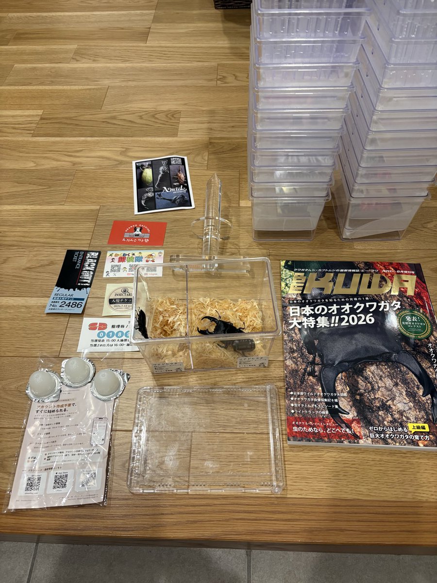 puyopuyo0824's tweet photo. 7月12日SBめちゃくちゃ楽しかった！
マナドヒラタもお迎え出来て大満足です。

今まで色虫はそんなに好きではなかったけど、ここまで綺麗に標本になると心動きました。 https://t.co/1PsmskabBw