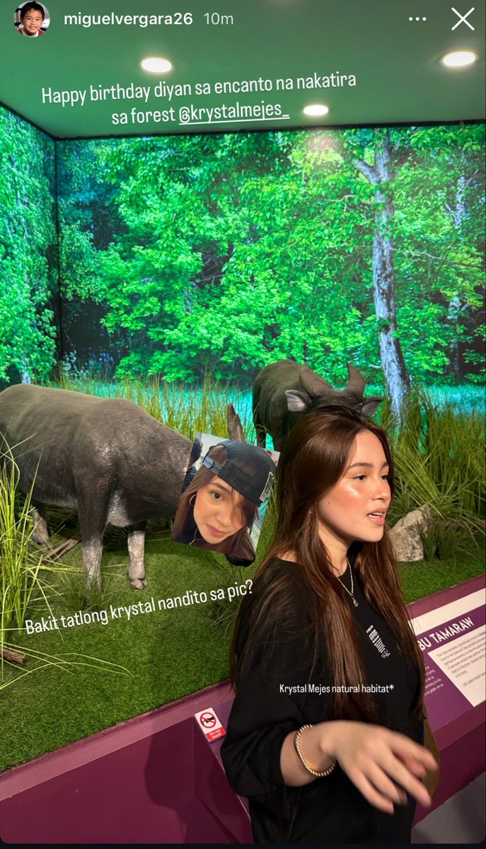 ershz_'s tweet photo. Gawin mo ba namang tamaraw. Hindi pinaglagpas kahit debut. 🤣

KRYSTAL MEJES TURNS EIGHTEEN 
#TALA18DDAY
#KrysGuel https://t.co/AG78ly8Fer