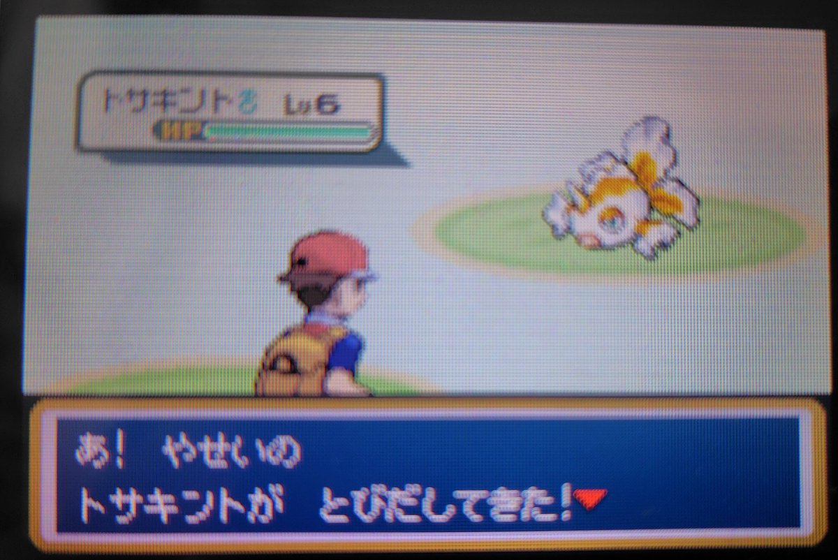 Ybiro3830's tweet photo. 嘘やん
今年も始まる前に出てきちゃった
547匹目でした
#色違いポケモン #ShinyPokemon https://t.co/HVrE3e6oi5
