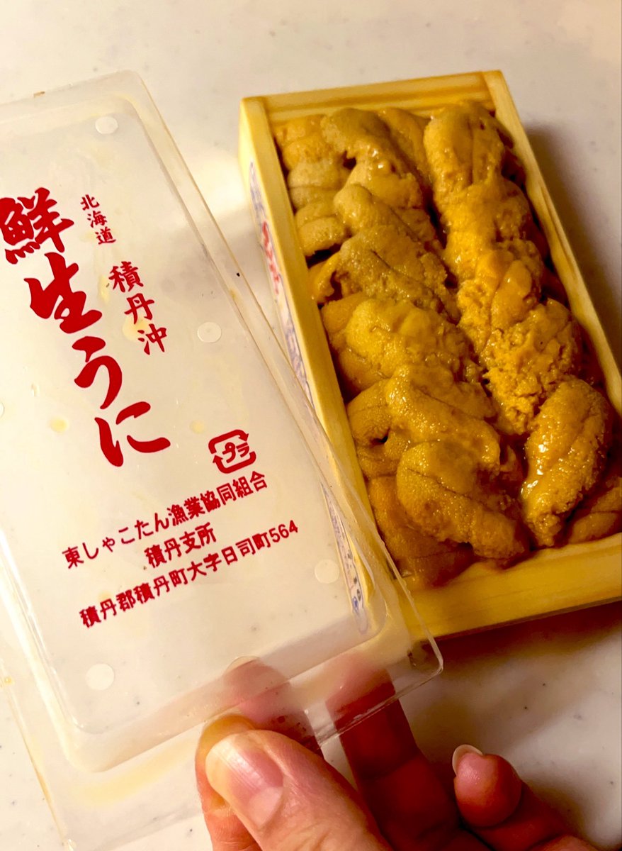 Eight_Pancake08's tweet photo. 積丹の折ウニ✨
にびちゃん父よりいただきました✨

うますぎ😋😋😋🩷 https://t.co/uXAtmDbT78