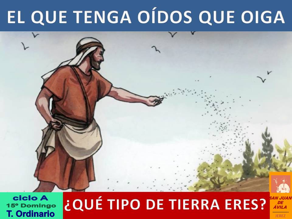 AP_SJA's tweet photo. ✝️ 15º Domingo Tiempo Ordinar

📖 Os digo que muchos profetas y justos desearon ver lo que veis y no lo vieron

Lo sembrado en tierra buena significa el que escucha la palabra y la entiende; ese da fruto y produce 100 o 70 o 30 por uno

⛪️ ¡Feliz Domingo!

https://t.co/rC70FTFjwy https://t.co/9oNhXQW1bh