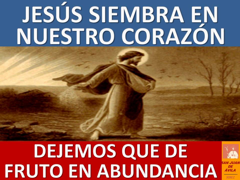 AP_SJA's tweet photo. ✝️ 15º Domingo Tiempo Ordinar

📖 Os digo que muchos profetas y justos desearon ver lo que veis y no lo vieron

Lo sembrado en tierra buena significa el que escucha la palabra y la entiende; ese da fruto y produce 100 o 70 o 30 por uno

⛪️ ¡Feliz Domingo!

https://t.co/rC70FTFjwy https://t.co/9oNhXQW1bh