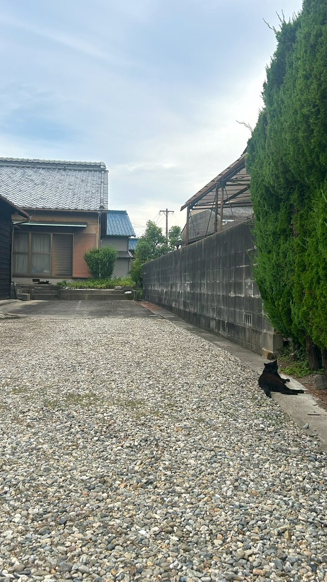 michi_itou's tweet photo. こっちだとわかりやすいかも☺️ https://t.co/IbZ9gxQzbN