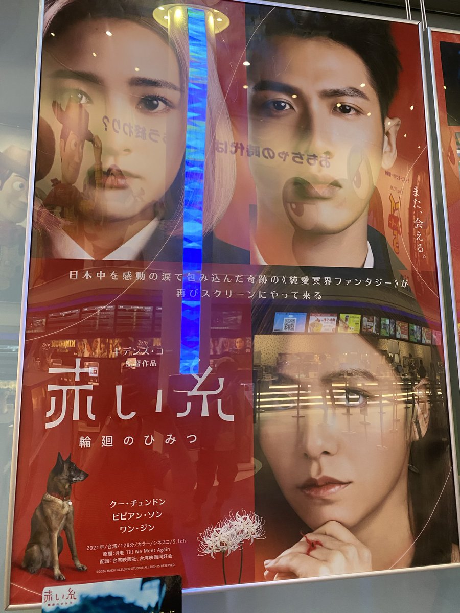 godofanimesong's tweet photo. 配信・ソフト化無い #赤い糸輪廻のひみつ やっと鑑賞！
冥界ファンタジー？え、コメディー？なんかホラー展開きた！…
先が読めない全部盛り不思議な映像なのに、最後全て伏線回収してる！監督天才だ！
恋愛映画でめちゃ笑って、初めてめちゃ泣いた😭
日本の白いアイツら居たけど、それ出していいのかw https://t.co/bGkaYhDOKu