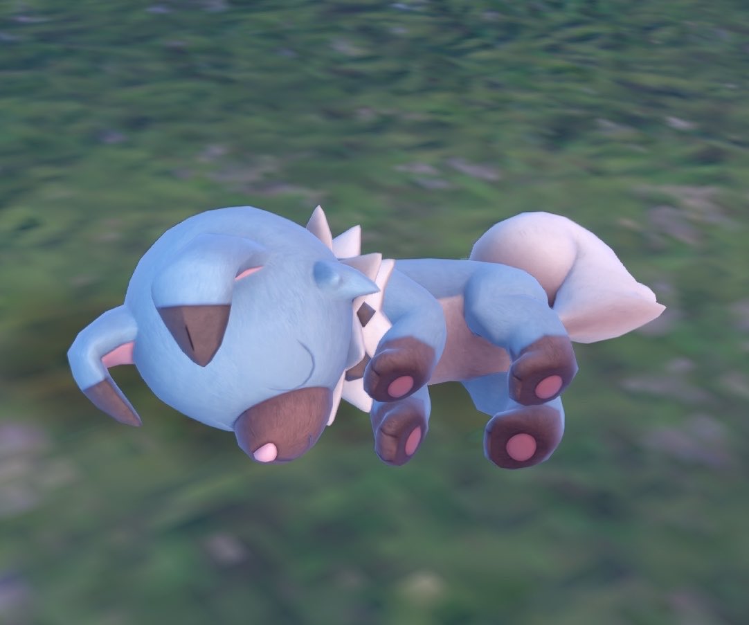 pokehunt_er's tweet photo. 깜찍이 소다 암멍이 발바닥젤리 보실분 말랑.. https://t.co/GhmAgtB74v