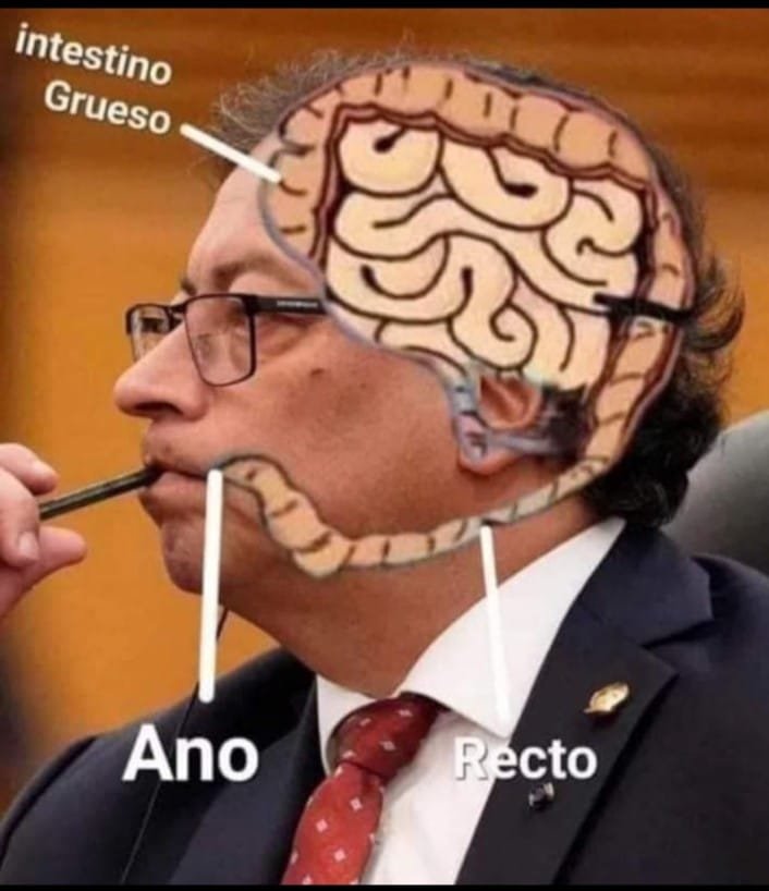 alaverde77's tweet photo. @HOLLMANMORRIS @petrogustavo Bobo hijo de puta, misogeno a ti tambien se te acabo en RTVC tu hora atrincherado desde los medios públicos hablando huevonadas y usándolos de forma incorrecta https://t.co/rIe1ZzDoTm