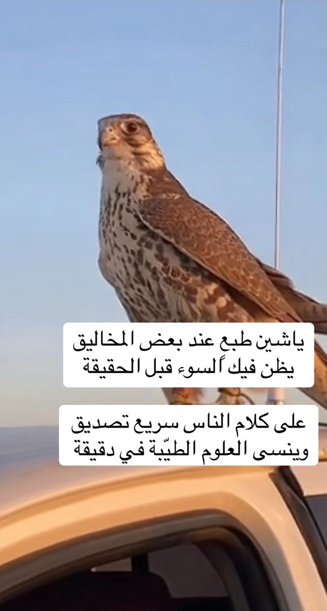 AlkhbrSaud6646's tweet photo. https://t.co/G1lQX8NJmJ
