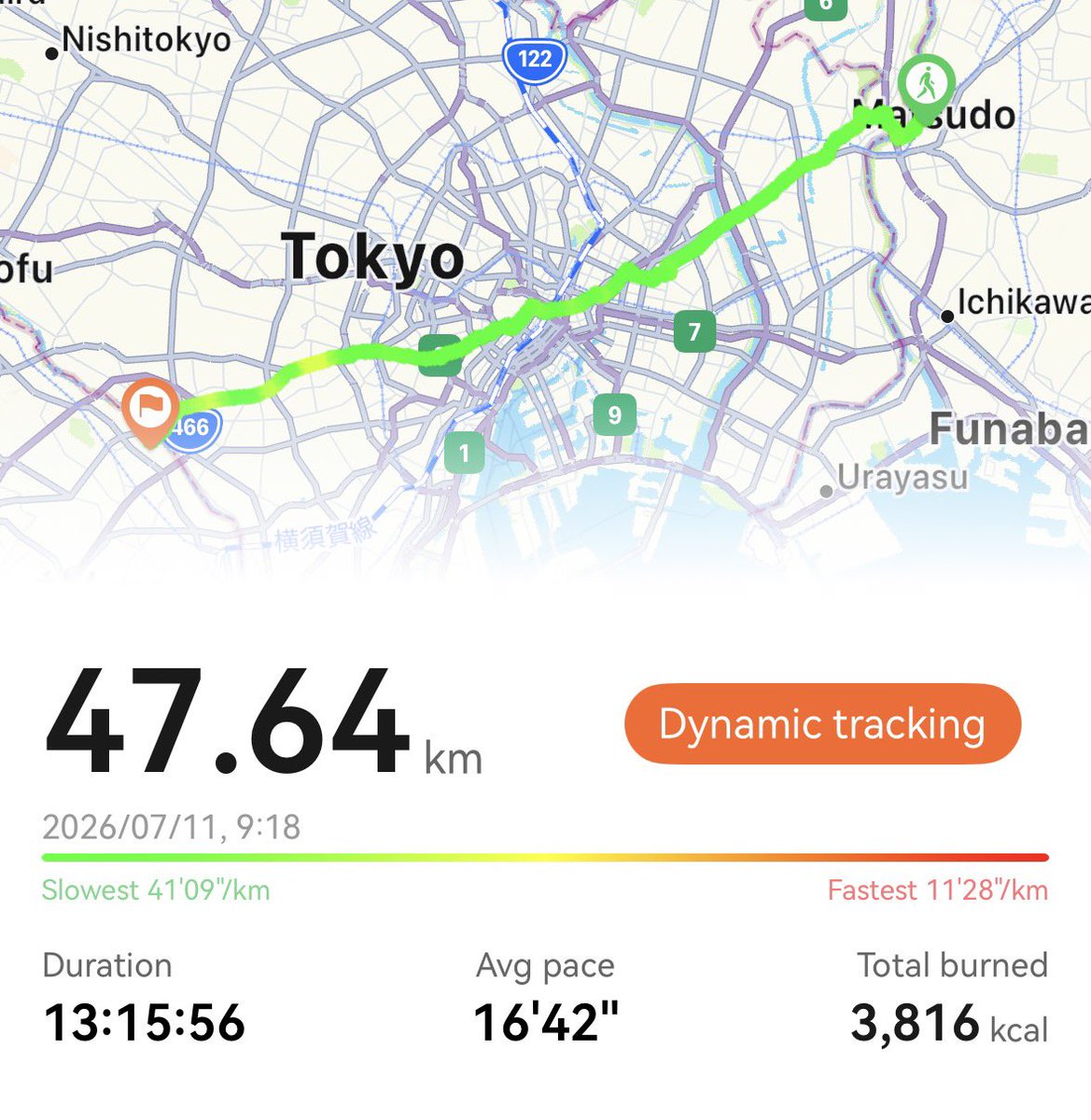 edo/flyte tweet media