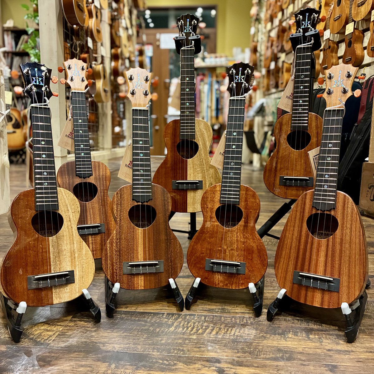 MIKIGAKKI_SB2's tweet photo. ハワイメイドの大人気ウクレレ コアロハウクレレが入荷!!
スタンダードモデルからパイナップル型、ハワイアンコア×マンゴートップ&バックモデルなどなど
ぜひお気に入りの一本をお求めください!!
#KoAloha #acousticinn #mikigakki https://t.co/N0uPLAIByj