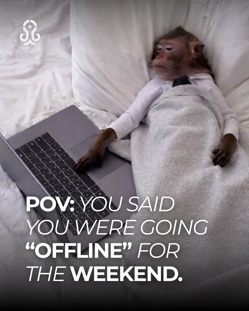 RankstarSeo's tweet photo. "Just checking one quick thing." 🤡
Happy weekend from the Rankstar team. https://t.co/xKfznFFLfS