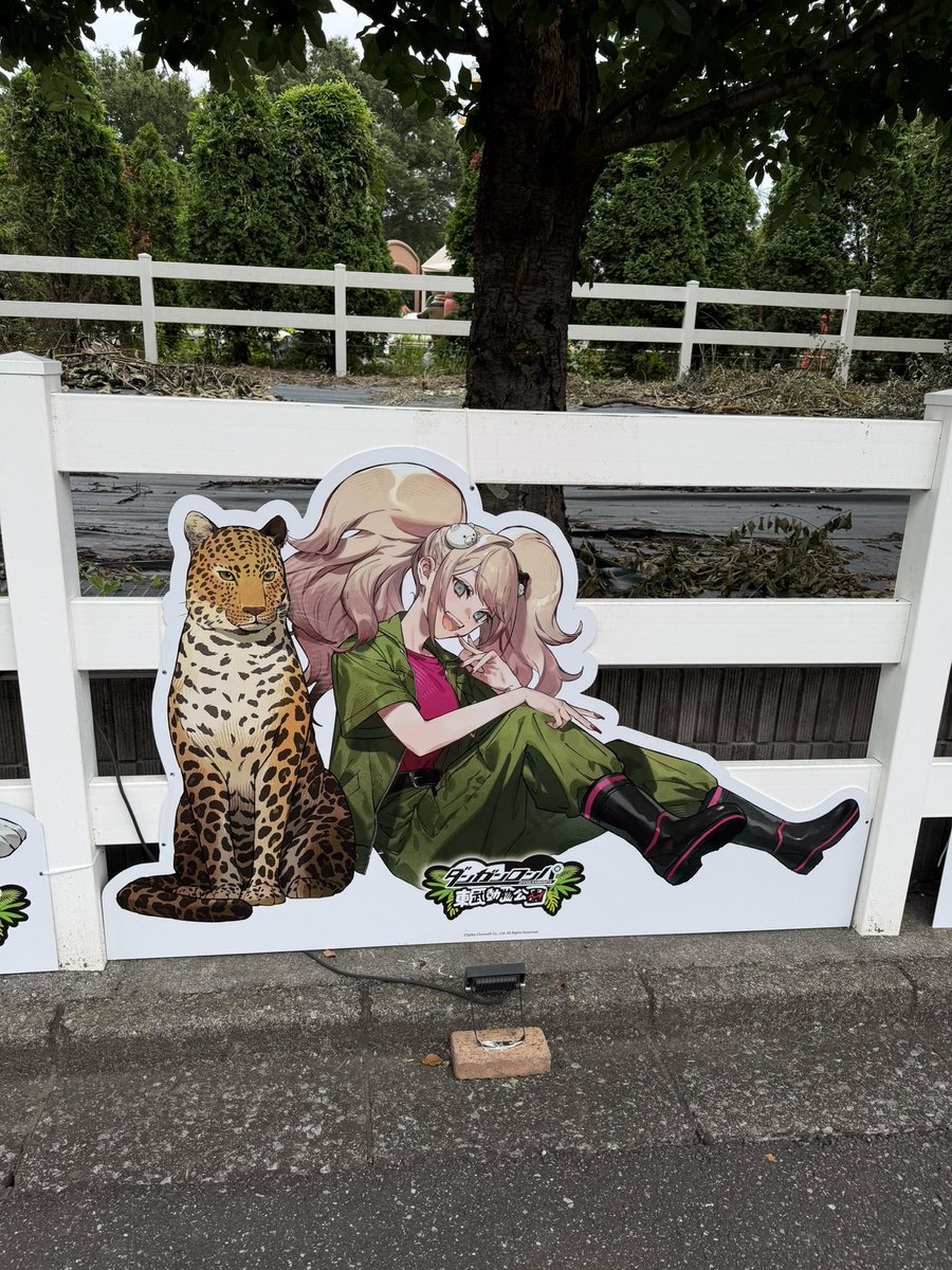 kmij495's tweet photo. 十神と盾子、動物がピッタリすぎてめっちゃいいです https://t.co/Gb6n8BNDMQ