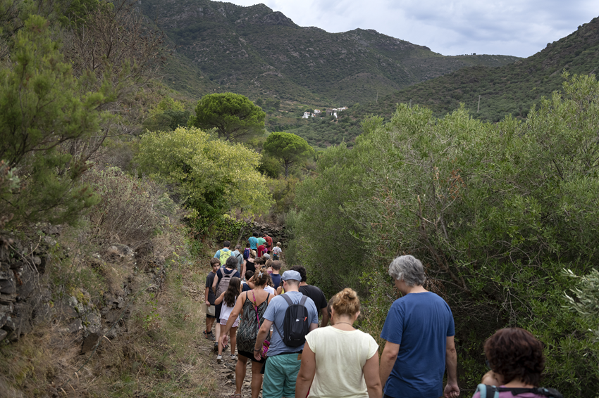 elportdelaselva's tweet photo. DIMARTS! 
🌿 Racons naturals de La Vall de Santa Creu: ruta circular de 3 km per descobrir vegetació mediterrània, fauna amagada i rastres. 
📍18 h, aparcament de La Vall de Santa Creu. 
Activitat gratuïta, places limitades. 
Inscripció: https://t.co/CtzqjU4DZ8 https://t.co/h7sVS7hC9r