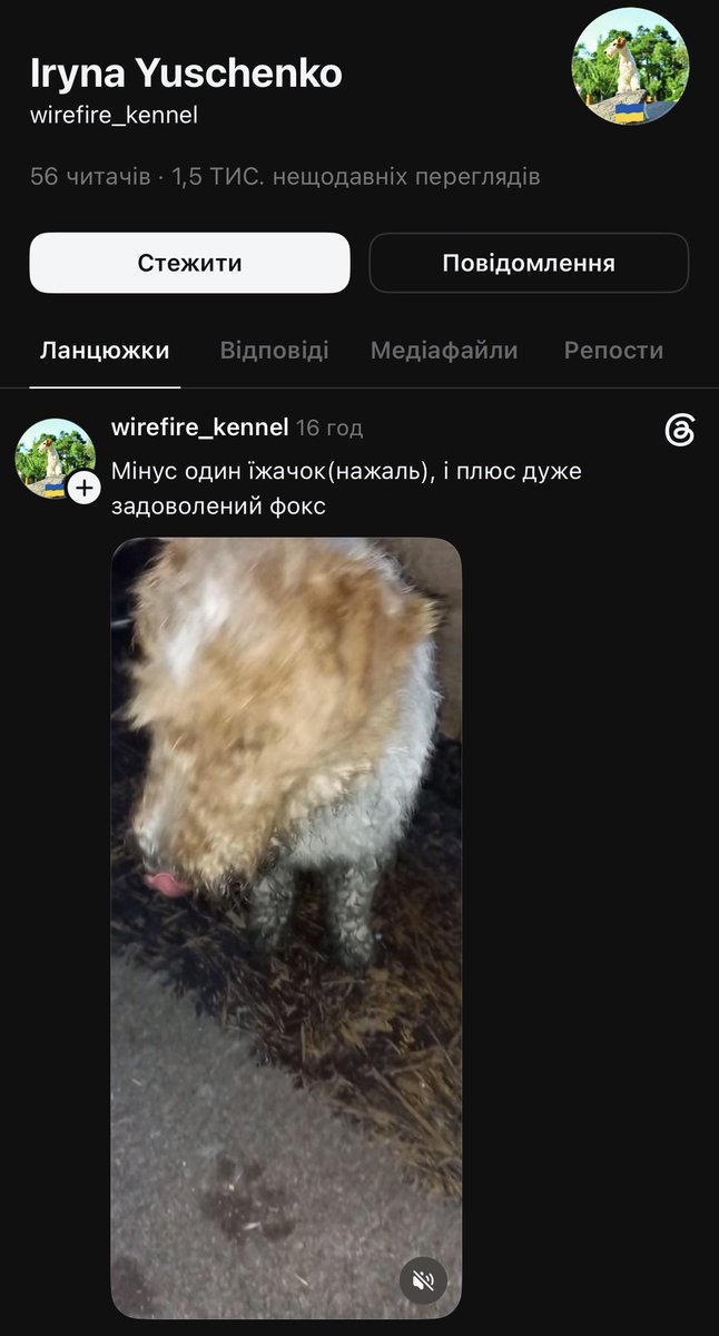 maaret771373's tweet photo. Потрібен розголос! 
Аморальна потвора! https://t.co/qH2SP1mxaZ