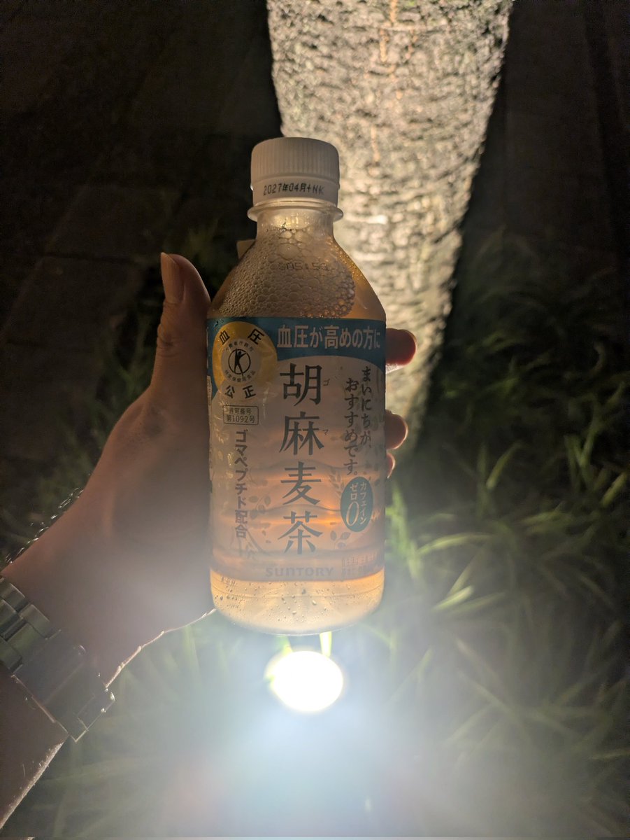 帰りがけに胡麻麦茶を買ってたのけにごmの部分 (@kennygooon) / Posts / X