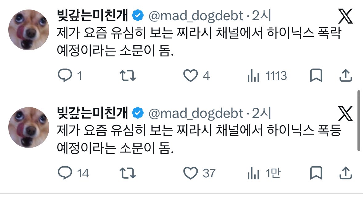 빚갚는미친개 tweet media