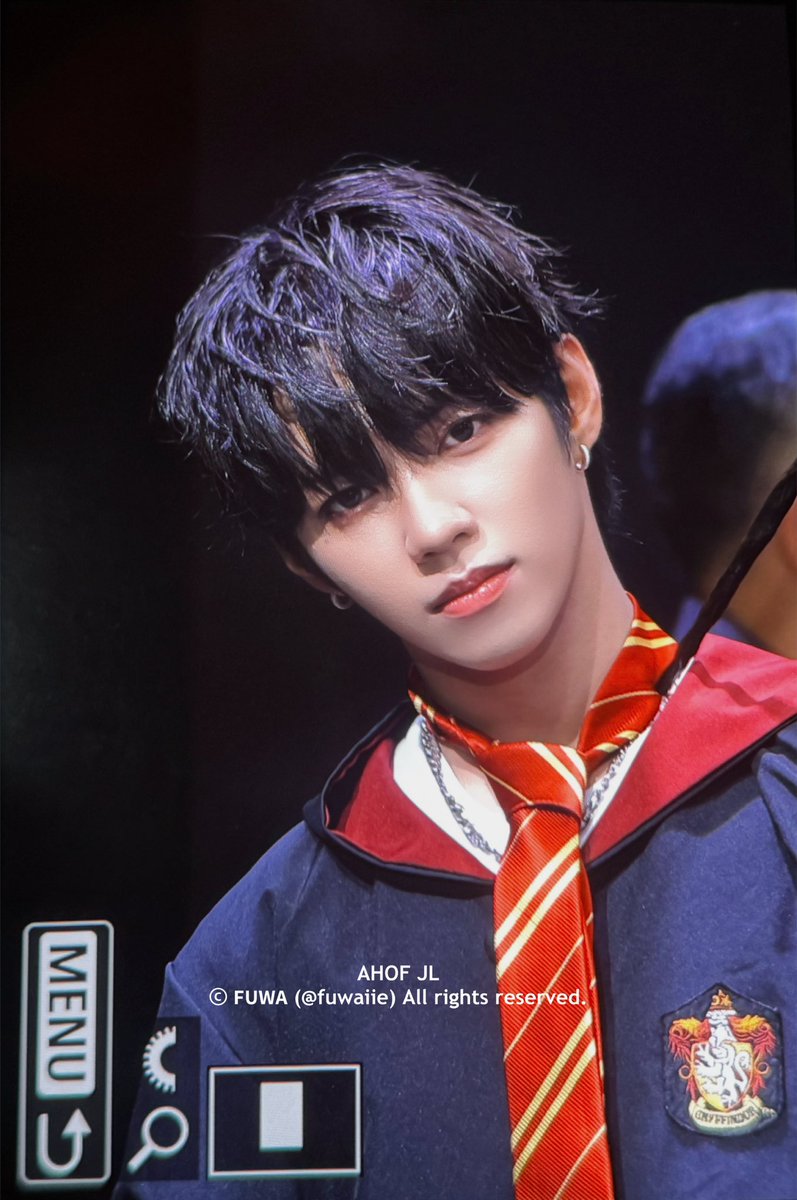 JL of AHOF Serves Magical Vibes in Harry Potter Costume
