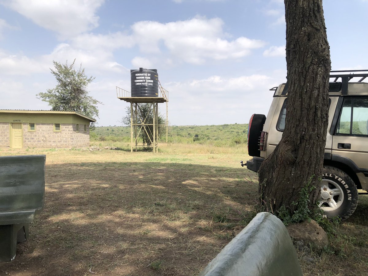 AlmasiNfts's tweet photo. White bellied bustard calling. #NairobiNationalPark https://t.co/LBefiXja8p