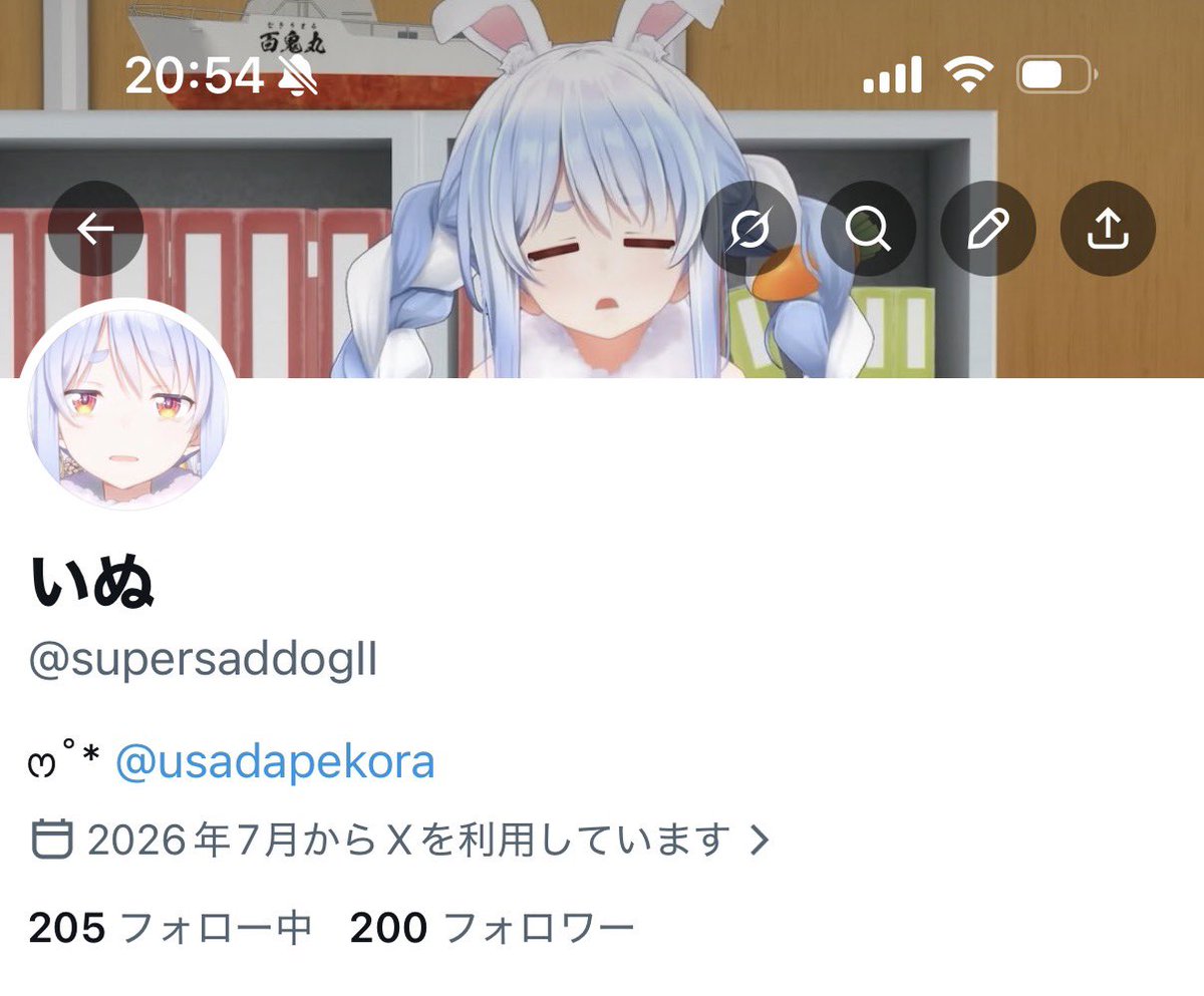 いぬ tweet media