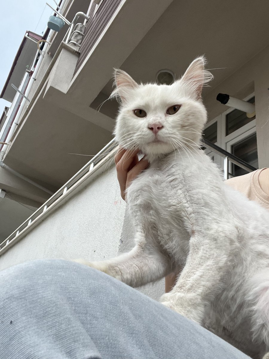 bsratpal's tweet photo. Keşke bu çocuğumun hayatını da bahara çeviricek birisi çıksa🥺 https://t.co/eU6UDBUJ9d