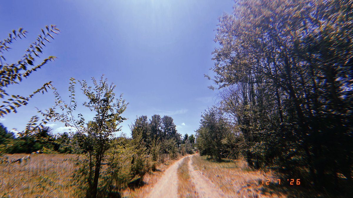 froginagrave's tweet photo. ***
Summer Cinema 16
Mozzies be gone. Chickens chickening. Birdsong 
Plenty of birdsong. 
Insects in the trees. Voices travelling.
35*
.
.
.
.
.
.
.
.
.
.
#running #trailrunning #hokaoneone #fitinyourfifties #froginagrave https://t.co/97beUO6s57