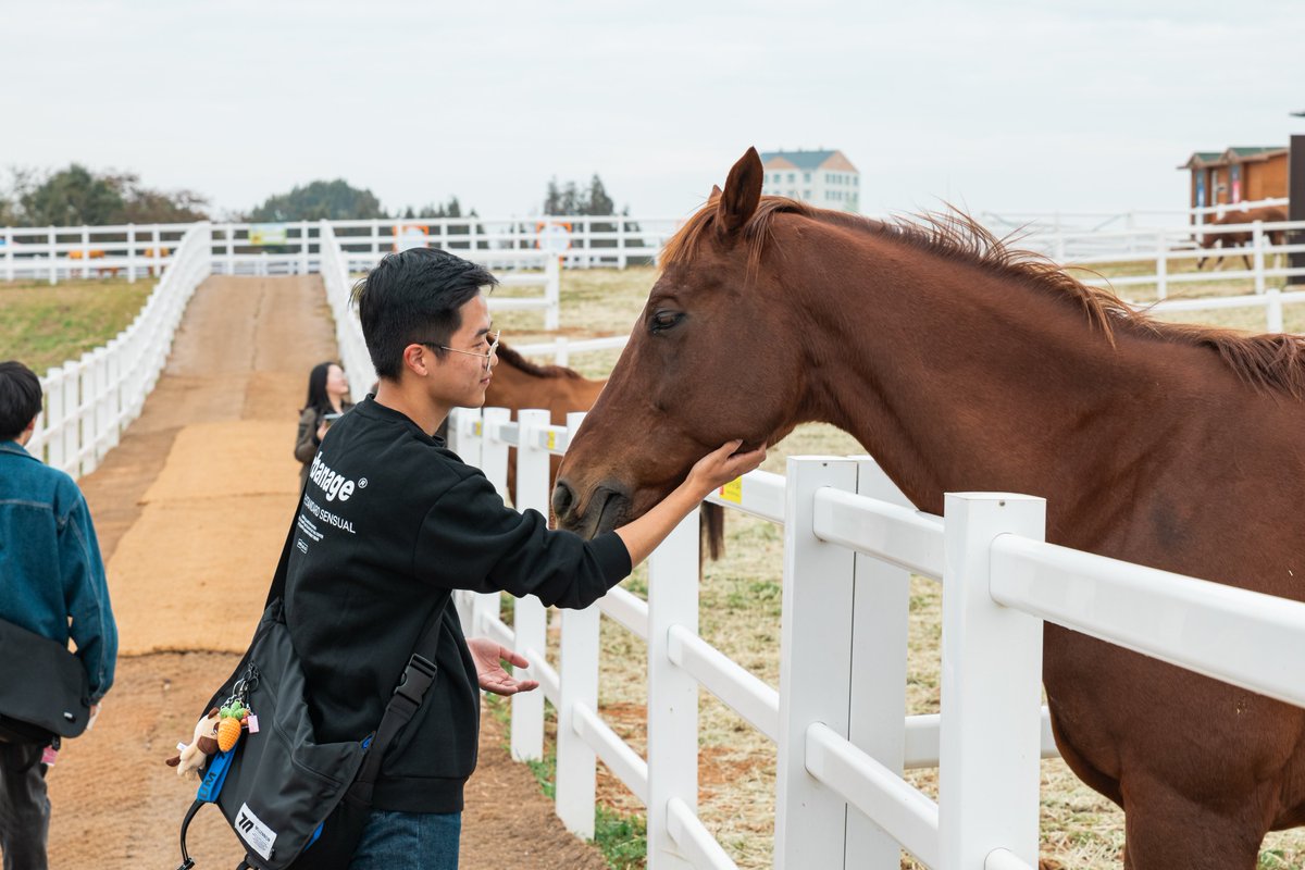 khorseracing's tweet photo. ■ 대통령배 3연패 명마 '당대불패', 19세로 영면

한국 경마사에 대통령배(G1) 최초 3연패의 기록을 남긴 명예경주마 '당대불패'가 19세의 마령으로 생을 마쳤다.

한국마사회는 '당대불패'가 지난 7월 2일 경기도 안성팜랜드 휴양목장에서 폐사했다고 12일 밝혔다. 건강 이상 소식을 접한 뒤 전담 직원과 수의사를 현장에 보내 상태를 확인했으며, 폐사 확인 후 사후 조치를 진행했다. 구체적인 사인은 공개하지 않았다.

부경 소속이었던 2007년생 국산 수말인 '당대불패'는 2009년 9월 데뷔해 2013년 11월 마지막 경주까지 통산 32전 19승, 승률 59.4%를 기록했다. 19승 가운데 10승을 대상경주에서 거뒀으며, 총수득상금은 29억 8,598만 원에 달했다. 대상경주 최다승과 수득상금 모두 은퇴 당시 한국경마 최고 기록이었다.

가장 상징적인 성과는 2010년부터 2012년까지 이어진 대통령배 3연패였다. 3세에 처음 정상에 오른 '당대불패'는 4세와 5세에도 타이틀을 지키며 대통령배를 3년 연속 제패한 최초의 경주마가 됐다.

경주로 밖에서도 '당대불패'의 이름은 특별한 의미를 남겼다. 정영식 마주는 2011년부터 2013년까지 매년 1억 원씩, 총 3억 원을 '당대불패'의 이름으로 기부했다. 기부금은 장애인 국가대표 선수의 경기용 자전거와 스포츠 의족, 장애인 수영선수 지원과 휠체어 컬링팀 훈련비 등에 사용됐다. 이 같은 활동으로 '당대불패'에는 경주마 기부왕이라는 별칭도 붙었다.

'당대불패'는 2013년 12월 29일 렛츠런파크 부산경남에서 은퇴식을 치르며 현역 생활을 마쳤다. 이듬해에는 대통령배 우승 당시의 질주를 형상화한 높이 2.6m 규모의 동상이 렛츠런파크 부산경남에 세워졌다. 동상은 '당대불패'가 남긴 기록과 인기를 보여주는 상징물로 남았다.

은퇴 후 제주 성이시돌목장 등에서 지낸 '당대불패'는 현역 시절의 업적과 사회공헌 활동을 인정받아 2024년 한국마사회의 명예경주마로 선정됐다. 같은 해 11월 안성팜랜드 휴양목장에 입사한 뒤에는 일반 시민과 경마 팬들을 만나며 은퇴경주마와 말 복지의 가치를 알리는 역할을 이어왔다.

한국마사회는 오는 20일부터 약 한 달간 말복지종합플랫폼에서 온라인 추모공간을 운영한다. 주요 관계자와 팬들이 함께하는 현장 추모식은 24일 안성팜랜드에서 개최될 예정이다.

'당대불패'는 더 이상 경주로와 휴양목장에서 팬들을 만날 수 없게 됐다. 그러나 그 업적과 역사가 이어짐에 의심이 없다. 대통령배 최초 3연패와 대상경주 10승, 그리고 자신의 이름으로 나눈 3억 원의 기부까지. '당대불패'가 남긴 기록과 이야기는 한국경마가 오래 기억해야 할 한 경주마의 생애로 남게 됐다.

사진=한국마사회 및  서울마주협회