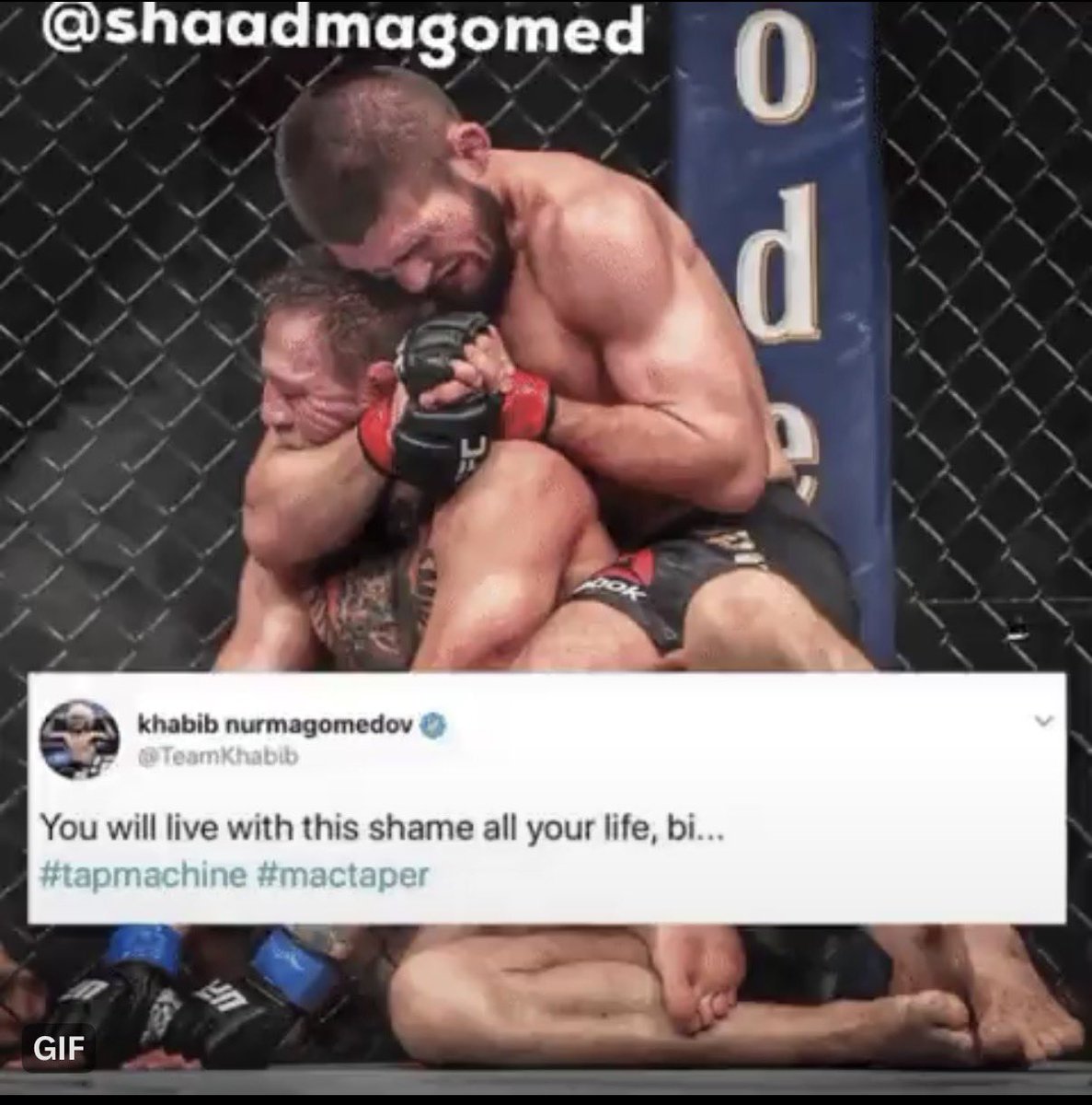 Adam Analysis tweet media