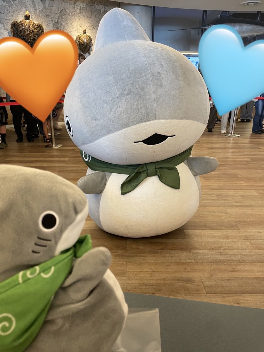 お出かけ子ザメちゃん🦈Love (@odekake__kozame) / Posts / X