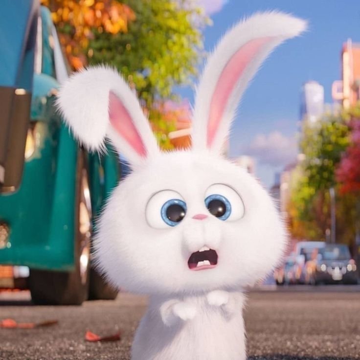 ttylm00nlight's tweet photo. hoon never beating the bunny allegations 🐰 https://t.co/hQSKQHMsCN