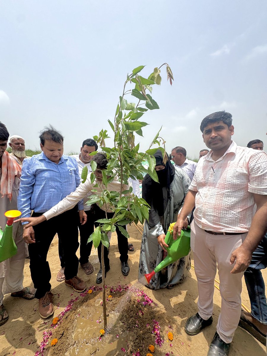 Officeofms's tweet photo. वृक्षारोपण महायज्ञ2026 ☘️
मा0 मुख्यमंत्री जी #upcm के नेतृत्व में संचालित "एक पेड़ माँ के नाम" महाअभियान के अंतर्गत जनपद मेरठ की ग्राम पंचायत असीलपुर में वृहद वृक्षारोपण कार्यक्रम का सफल आयोजन किया गया@cdomeerut
@DmMeerut
@uppanchayatiraj
@mopr_goi @DirectorUPPR @RamNaresh18179 https://t.co/bFKCd4je2p