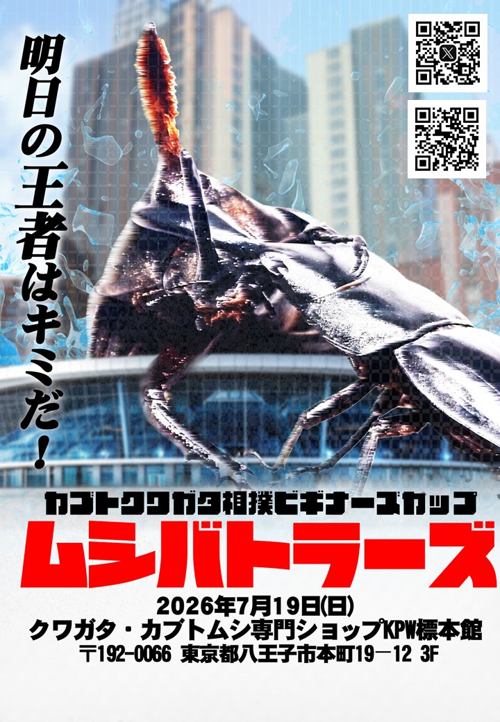 mushibato's tweet photo. 7月19日、昆虫ショップKPWにて初心者向けカブクワ相撲大会「ムシバトラーズ」を開催します。出場頭数は一人一頭、レンタル無料で大会前に初心者向けのクワガタ相撲体験会を実施したのちの試合開始となります。ムシバトをしてみたいと思っている方はこぞってご参加ください。 https://t.co/TjS1tsTv6e
