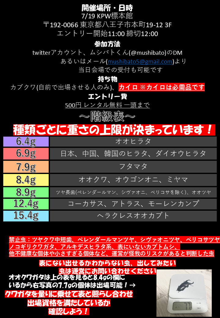 mushibato's tweet photo. 7月19日、昆虫ショップKPWにて初心者向けカブクワ相撲大会「ムシバトラーズ」を開催します。出場頭数は一人一頭、レンタル無料で大会前に初心者向けのクワガタ相撲体験会を実施したのちの試合開始となります。ムシバトをしてみたいと思っている方はこぞってご参加ください。 https://t.co/TjS1tsTv6e