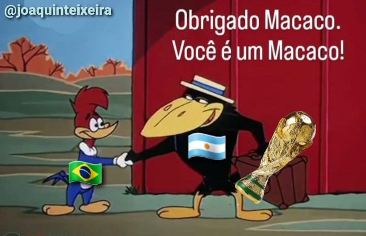 Bruno Bruno tweet media