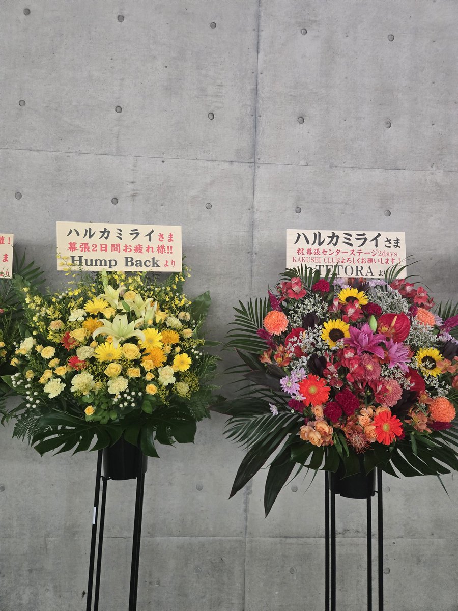 ShowMeToworld's tweet photo. 君好みの味は

激しめ

CDJで声が出なくて代わりに出たハルカミライを好きになった

その時とおなじ幕張での対バン。

最高だったよ！ https://t.co/tjTRZRQPpd