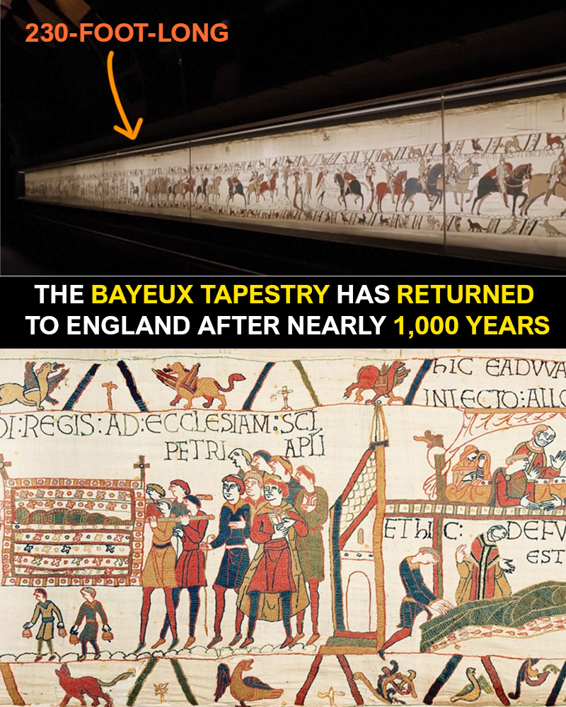 archpng's tweet photo. THE BAYEUX TAPESTRY HAS RETURNED TO ENGLAND AFTER NEARLY 1,000 YEARS 🏰

A truck carrying the 70-meter-long (230-foot) embroidery arrived at the British Museum at 2:48 a.m. on July 10, following an overnight journey from an undisclosed location in France through the Channel Tunnel.

The transfer was kept confidential for security reasons. Escorted by French and British police, the tapestry travelled in a climate-controlled, custom-built transport system designed to protect it from changes in temperature, humidity and vibration.

Believed to have been made in England during the 1070s, the embroidery has spent most of the last millennium in Bayeux, Normandy. It depicts the events leading to the Norman conquest of England and the Battle of Hastings in 1066.

The loan was agreed during French President Emmanuel Macron’s UK state visit in 2025. In return, the British Museum will lend Sutton Hoo treasures, the Lewis Chessmen and other objects to museums in Normandy.

The work is covered by up to £800 million in UK government indemnity. The initial ticket release for September to December has sold out. The exhibition opens on September 10, 2026 and runs until July 11, 2027.