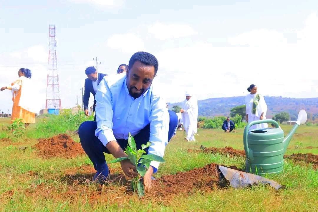 AppAmhara's tweet photo. “ጠቅላይ ሚኒስትር ዐቢይ አሕመድ ( ዶ.ር) በደብረ ማርቆስ ከተማ ችግኝ ተከሉ።

ጠቅላይ ሚኒስትር ዐቢይ አሕመድ (ዶ.ር) በደብረ ማርቆስ ከተማ ችግኝ ተክለዋል። https://t.co/rZww9RbNZ3