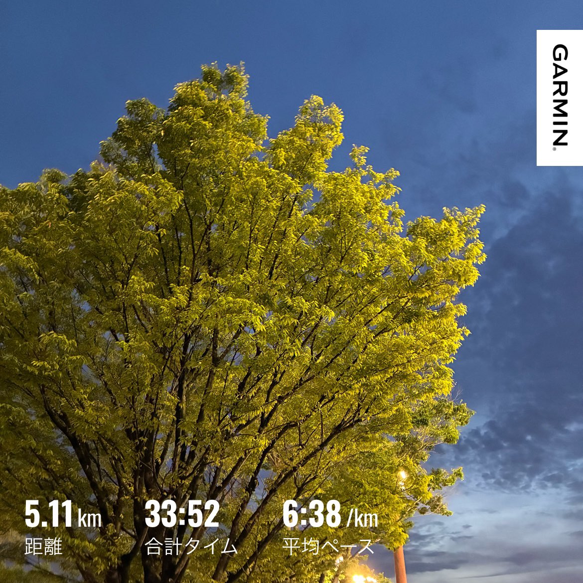 yasu_funrun's tweet photo. 久しぶりの5kmジョグ🏃‍♂️
ストレッチしながら走りました
夕方なのに30度🥵 https://t.co/H7teJvQxc8
