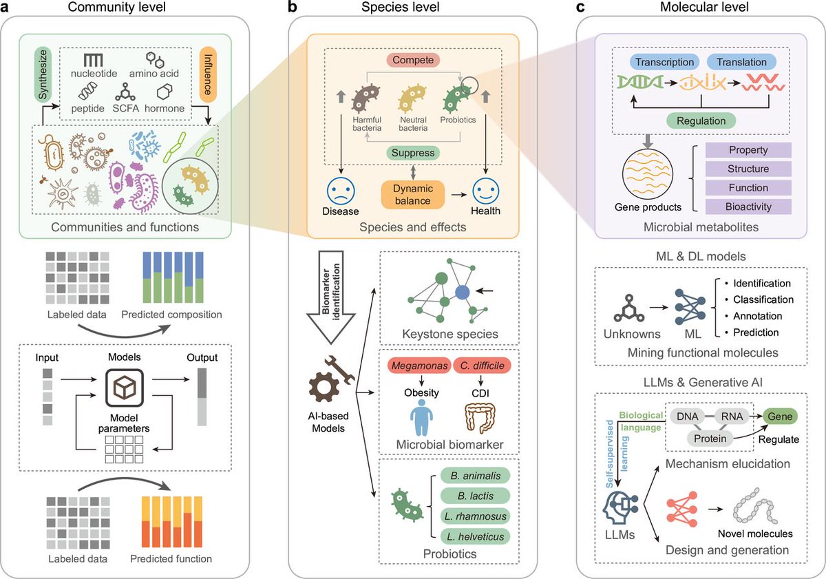 Gut_BMJ's tweet photo. Excellent #GUTRecentAdvancesInBasicScience paper by Zhou et al. entitled present “AI-empowered human microbiome research” accessed via

https://t.co/oLx8BDUViT

Artificial intelligence is increasingly transforming microbiome science. This review explores how machine learning and AI approaches are accelerating microbial discovery, improving predictive modelling and uncovering complex host–microbe interactions. The article highlights how computational approaches may help translate microbiome research into clinical practice.

#AI #Microbiome