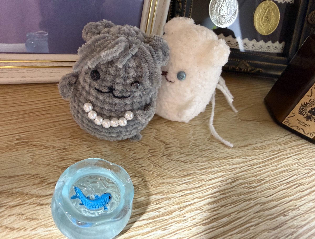 akenatsuka's tweet photo. 🕊️ﾑｷｭ?…ﾑｷｭｷｭ!(この鉢は？…意地悪魚ですね！)
🎀……ｷｭ……(……人面魚なのだね……) https://t.co/uUzv8Z7O89
