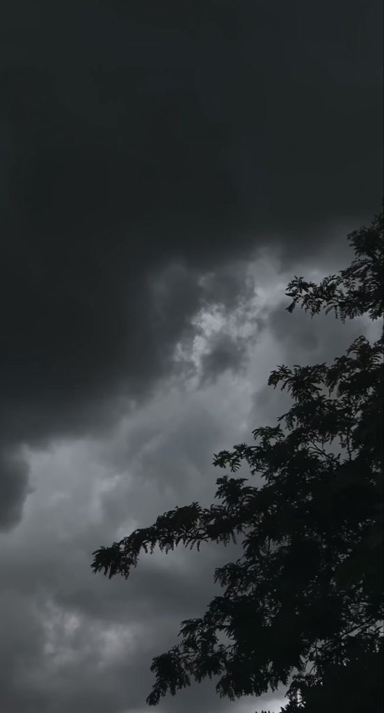 spooky_nature's tweet photo. the weather before rain is just…..SUKOON https://t.co/rCLIhBNi9Z