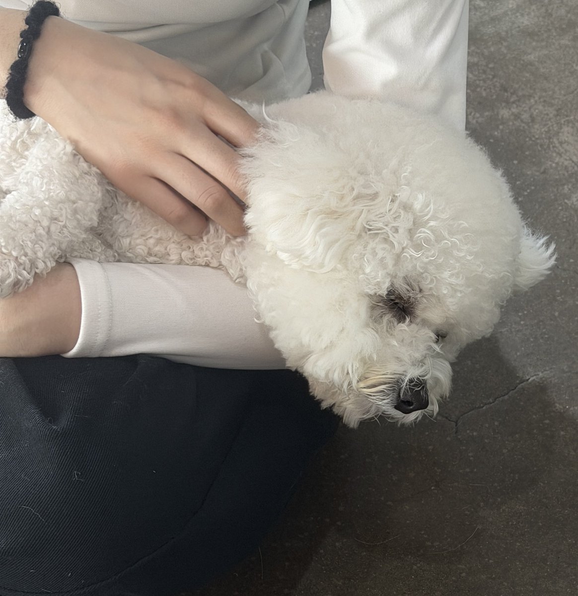 arzvunnc's tweet photo. #에세머트친소 #에세머_트친소 https://t.co/UXFDp4QBI2
