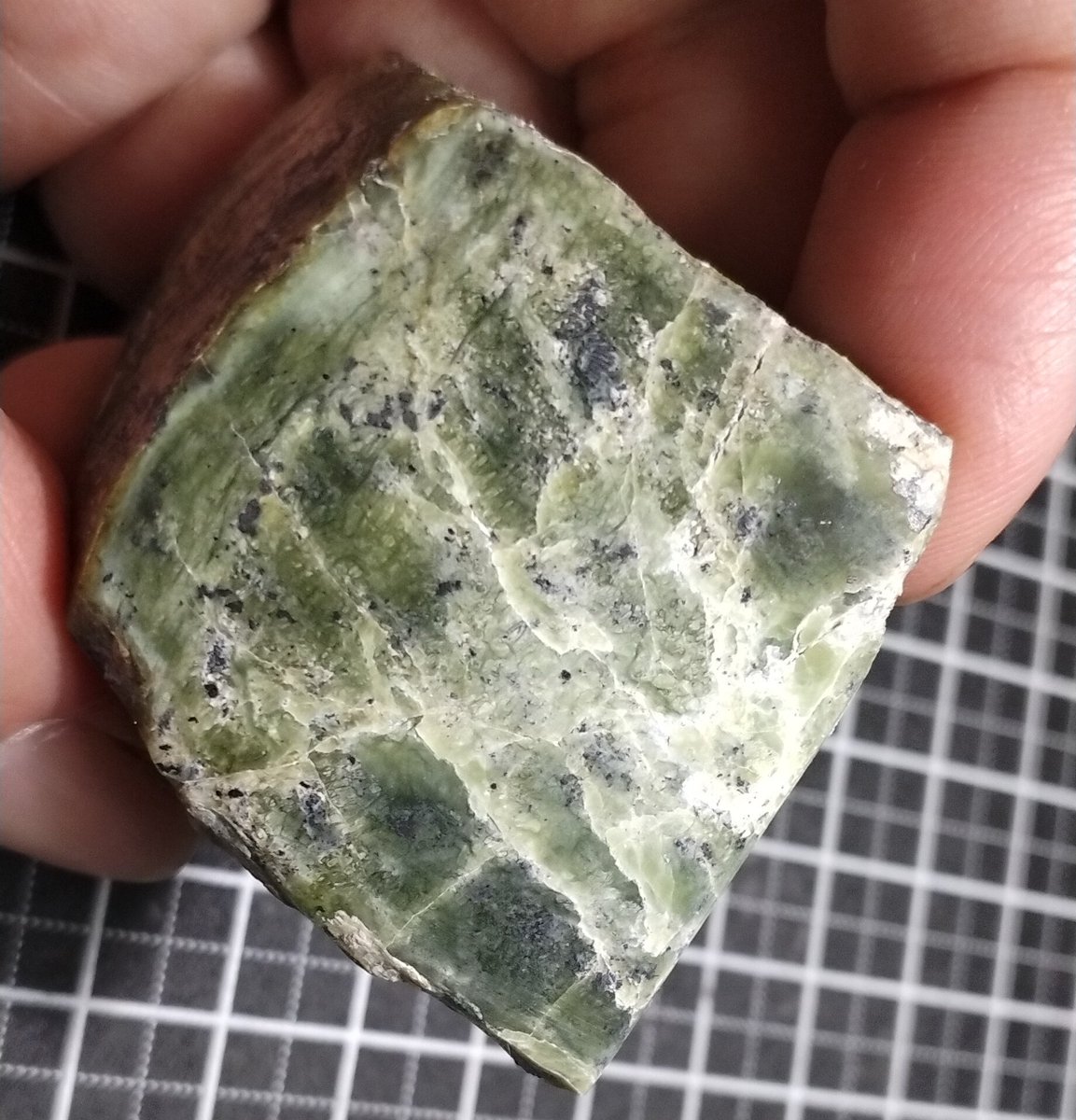 L_Serpentinus's tweet photo. 今年4月下旬、近場の蛇紋岩露頭のある地点に久しぶりに訪れみたら、葦が繁茂していて奥まで行けず、何とか1個だけ採集したのが左。右は数年前に採集したもの。ガラスのように割れやすいが、とても硬く、透き通った緑色はペリドットのようでもある。 https://t.co/UWyfh5SApH