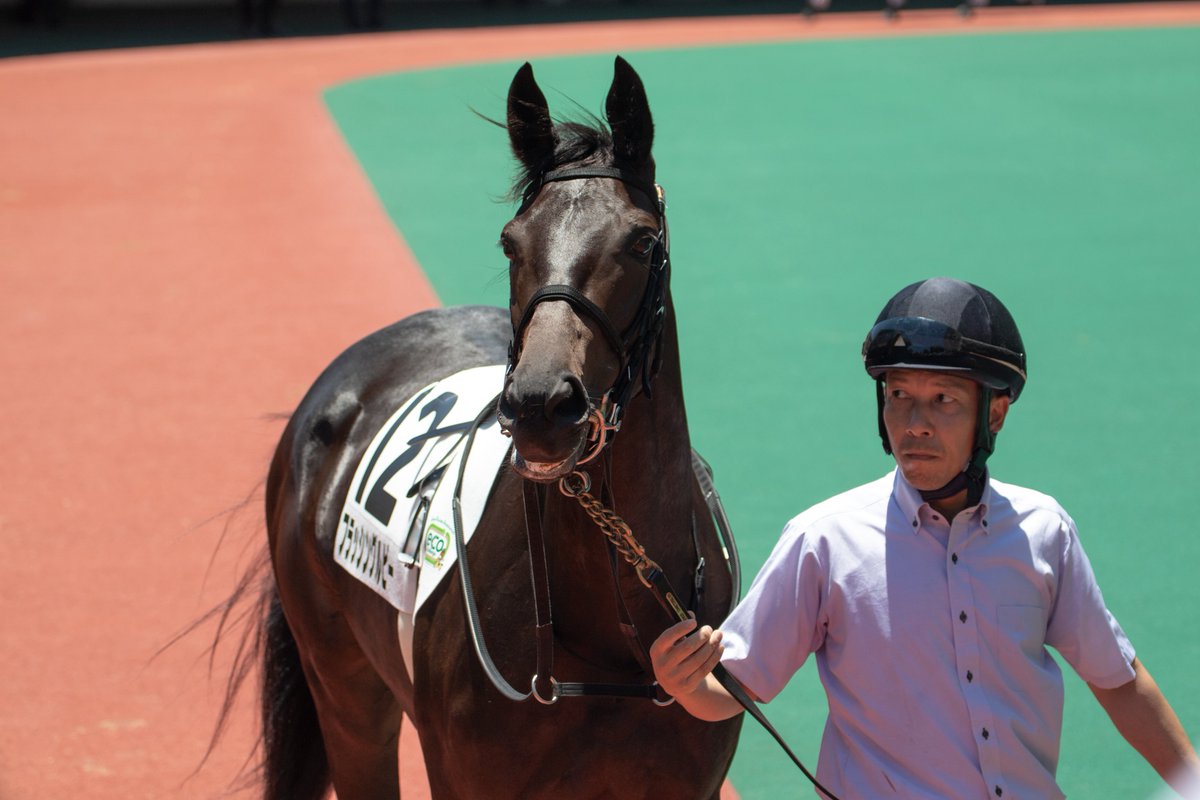 rr5928o's tweet photo. 26.07.11 小倉5R 2歳新馬
フラッシングルビー 高杉吏麒騎手

デビューおめでとうございます♩︎💕︎ https://t.co/M4zD62B6Xj