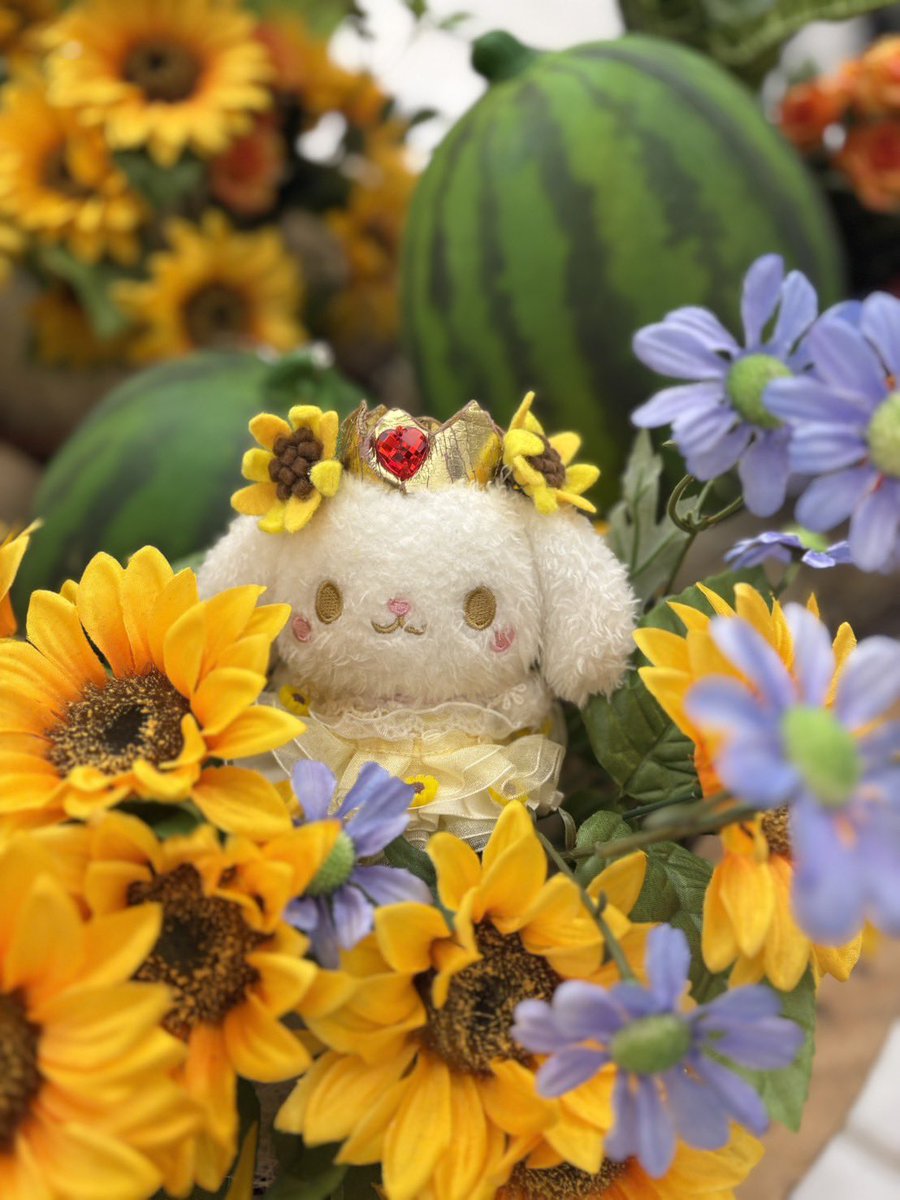 RukiRuki_prince's tweet photo. モデルがいいからか、撮った人(友達)がいいからかわからんけど⬅️、めちゃめちゃRURUが最高に可愛い🌻🫶 https://t.co/zY8MvJqe4K