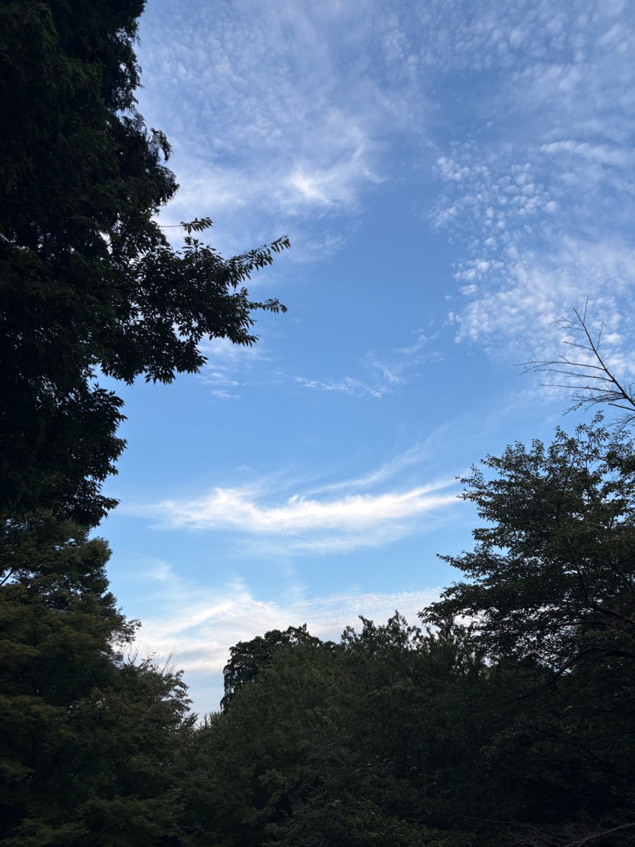pirikafill's tweet photo. この週末その１ https://t.co/1sdH4OkanR